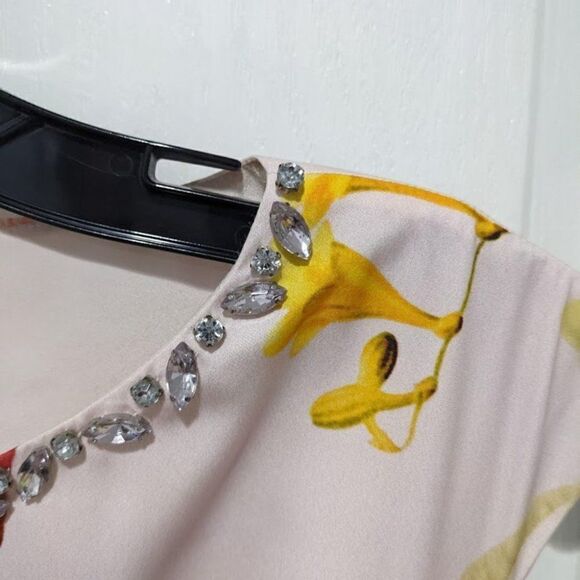 Ted baker | Irisola Floral Jeweled Neck Dress - Picture 5 of 8